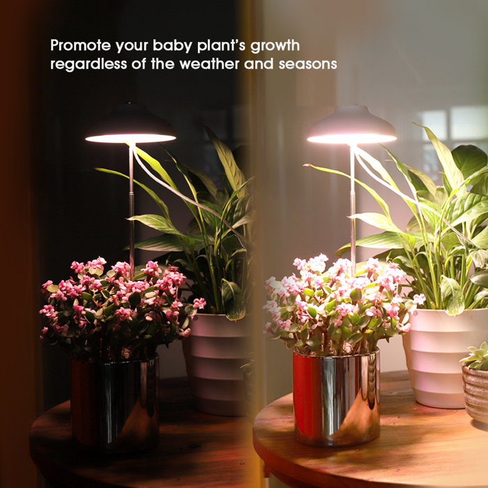 GrowLED LED Umbrella Plant Grow Light & Reviews Wayfair